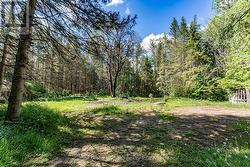 245 HWY 518 HIGHWAY E Perry (Emsdale), ON P0A 1J0