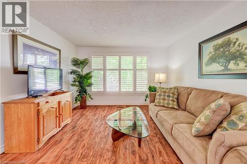 3 Parkland Crescent, Kitchener, ON - Indoor Photo Showing Living Room