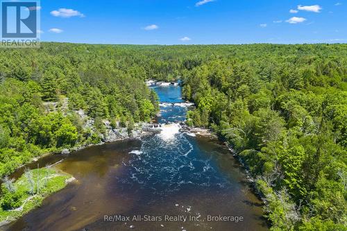 1042 Goadsby Trail, Minden Hills (Snowdon), ON 