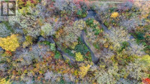 609830 12Th Side Road, Blue Mountains, ON 