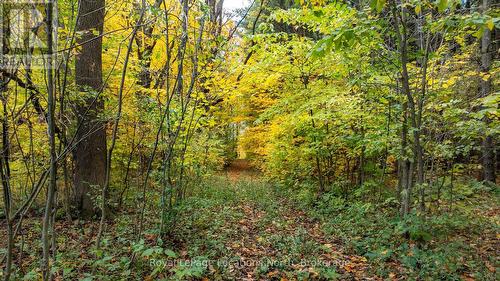 609830 12Th Side Road, Blue Mountains, ON 