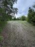 307-309- 311 Third Avenue E, Kelvington, SK 
