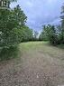 307-309- 311 Third Avenue E, Kelvington, SK 