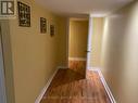 Lower - 67 Amberhill Way, Aurora, ON 