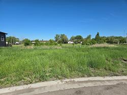 45 Falcon Bay Ste Anne, MB R5H 0A1