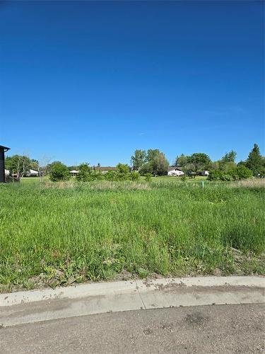 45 Falcon Bay, Ste Anne, MB 