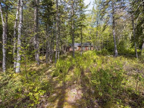 285 Chalet Drive, Vaughan, NS 