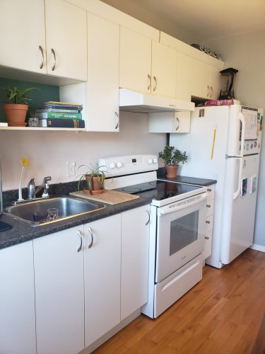 Cuisine - 8285 Av. De Gaspé, Montréal (Villeray/Saint-Michel/Parc-Extension), QC - Indoor Photo Showing Kitchen