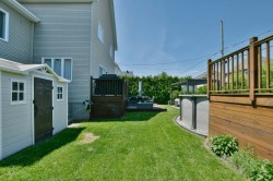 Courtyard - 