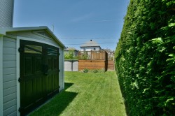 Courtyard - 