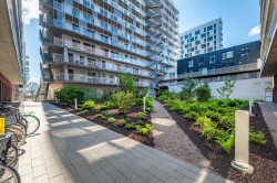 Jardin - 