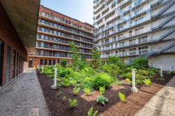 Jardin - 