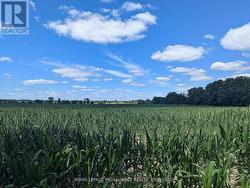 2622 4TH CONCESSION ROAD Kingston (Kingston East (Incl Cfb Kingston)), ON K0H 1Y0