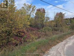 LOT 34 LEO LAKE ROAD Kingston (City North Of 401), ON K0H 2N0