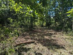 2621 4TH CONCESSION ROAD Kingston (City North Of 401), ON K0H 1Y0