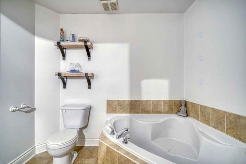 Salle de bains - 3886 Rue Rivard, Montréal (Le Plateau-Mont-Royal), QC 