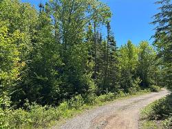 Lot Nelson Lake RD  Grand Bay-Westfield, NB E5K 4W2