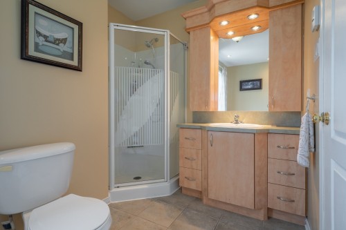 Bathroom - 294 Rue Du Ruisseau, Napierville, QC 