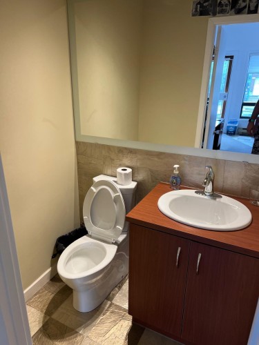 Bathroom - 1326 Ch. Du Coteau-Rouge, Longueuil (Le Vieux-Longueuil), QC 