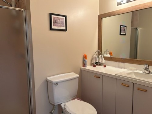 Salle de bains - 2231-128 Rue Pinoteau, Mont-Tremblant, QC 