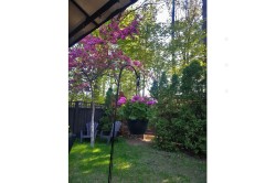 Garden - 