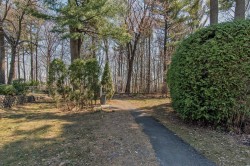Wooded area - 