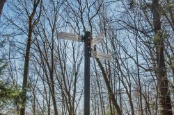 Wooded area - 