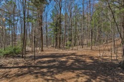 Wooded area - 