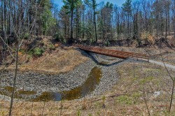 Wooded area - 