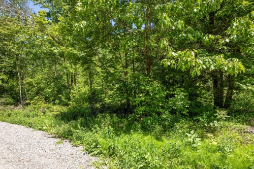 Terre/Terrain - 47 Ch. Poplar, La Pêche, QC 