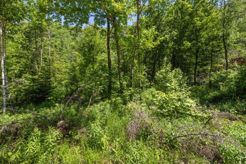 Terre/Terrain - 47 Ch. Poplar, La Pêche, QC 