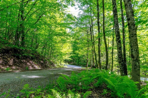 Terre/Terrain - 17 Ch. Mcfarland, Hatley - Canton, QC 