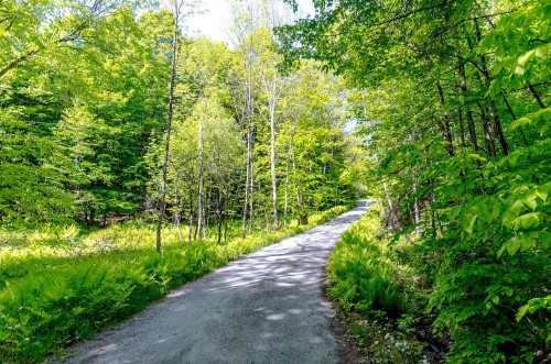 Terre/Terrain - 17 Ch. Mcfarland, Hatley - Canton, QC 