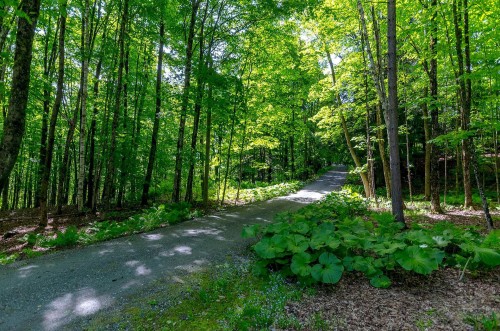 Terre/Terrain - 17 Ch. Mcfarland, Hatley - Canton, QC 
