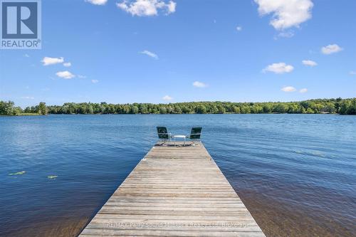 Jump off the Dock! - 39 Hardies Road, Mckellar, ON 