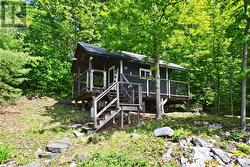 Large shed/future bunkie - 