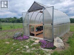 Greenhouse - 