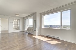 Living Room - 