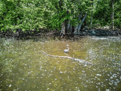 Accès au plan d'eau - 1100 Ch. Du Manoir, Rosemère, QC 