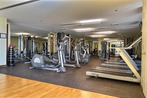Salle d'exercice - 707-300 Av. Des Sommets, Montréal (Verdun/Île-Des-Soeurs), QC 