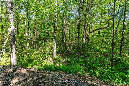 181 Park Road, Tiny, ON 