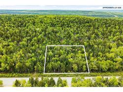 Lot Zionville RD  Taymouth, NB E3C 1Z3