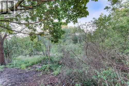 Wooded landscape featuring mature trees and varied foliage - 75 Hazelglen Drive Unit# 310, Kitchener, ON 