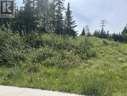 196 Massey Drive Massey Drive, NL A2H 7A2