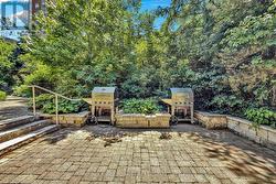 Gardens & BBQ area - 