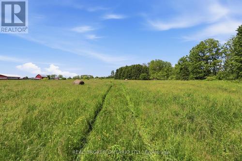19 Baptist Church Road, Brant, ON 