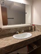 lower level bathroom - 