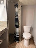 lower level bathroom - 