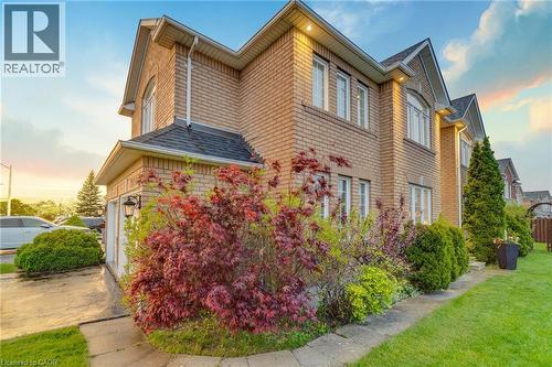 7419 Black Walnut Trail, Mississauga, ON 