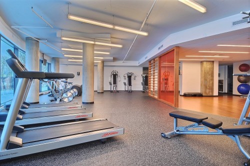 Exercise Room - 2809-299 Rue De La Rotonde, Montréal (Verdun/Île-Des-Soeurs), QC 